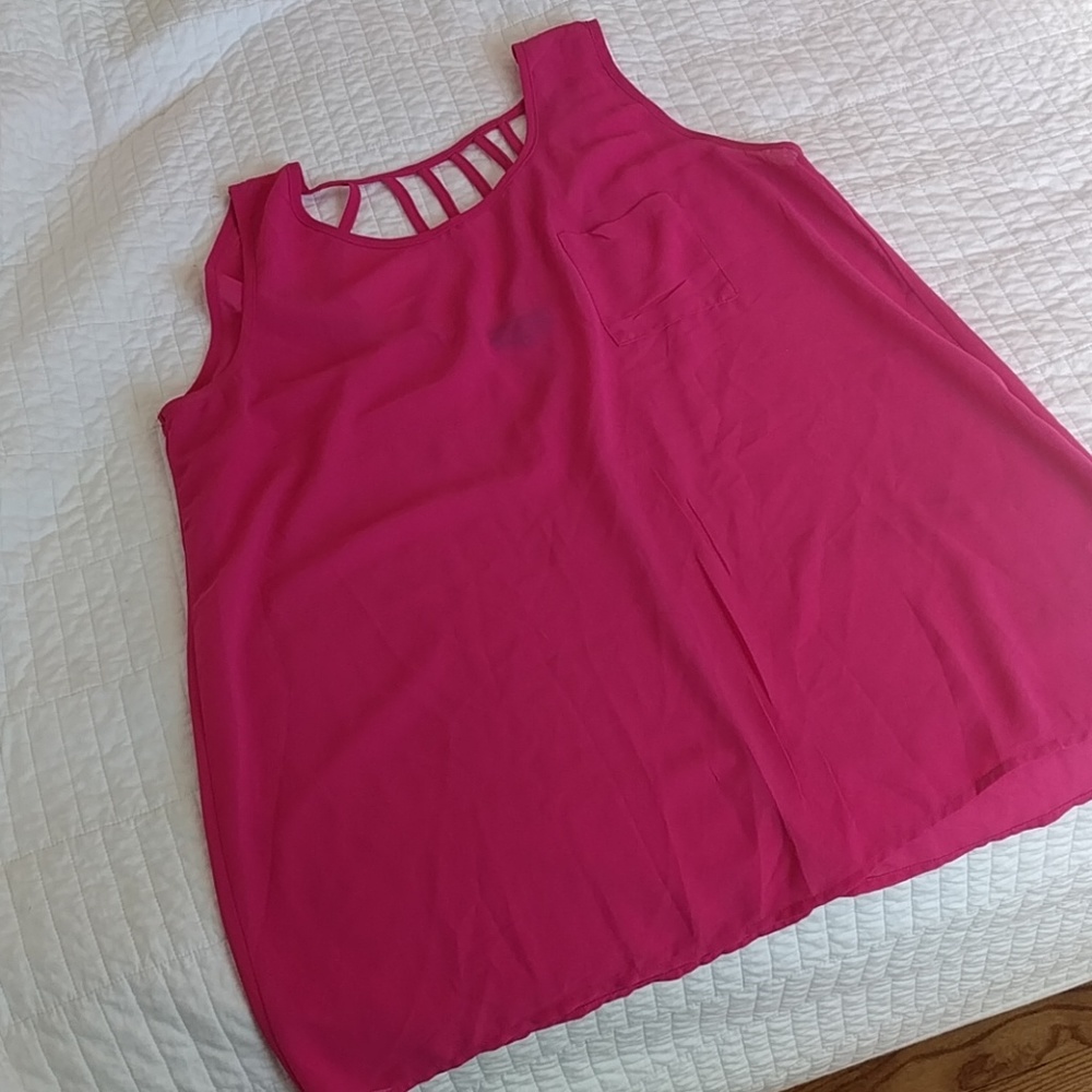 Pink, Sheer Blouse Size XL NWOT